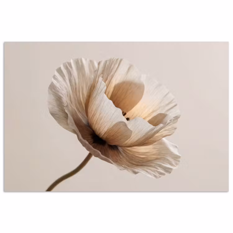 Poster - Bloem - Beige - Crème — 1