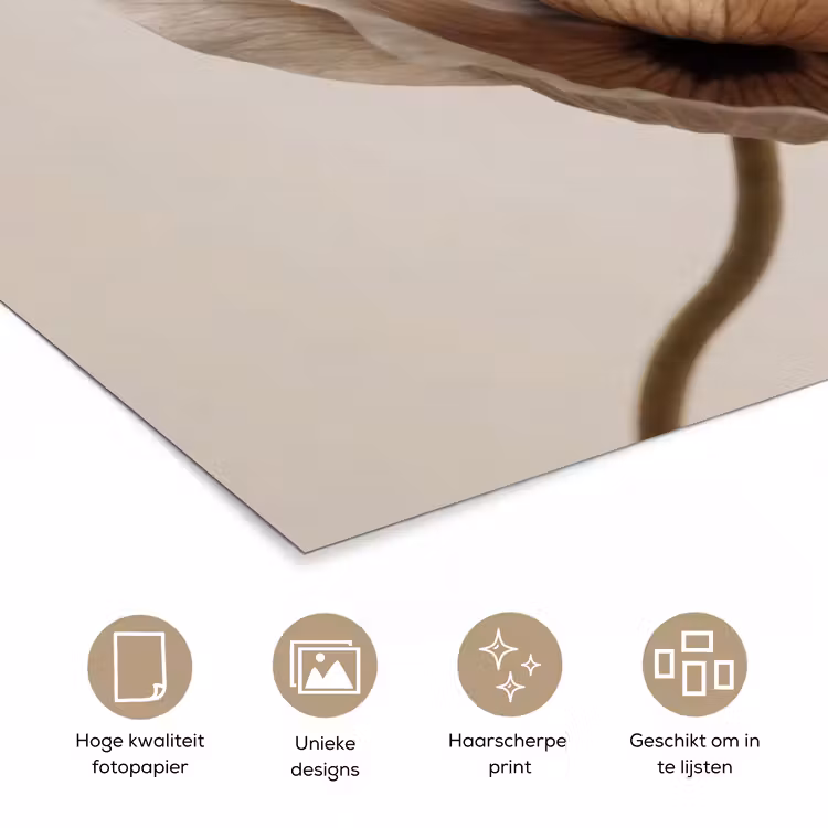 Poster - Bloem - Beige - Crème — 5
