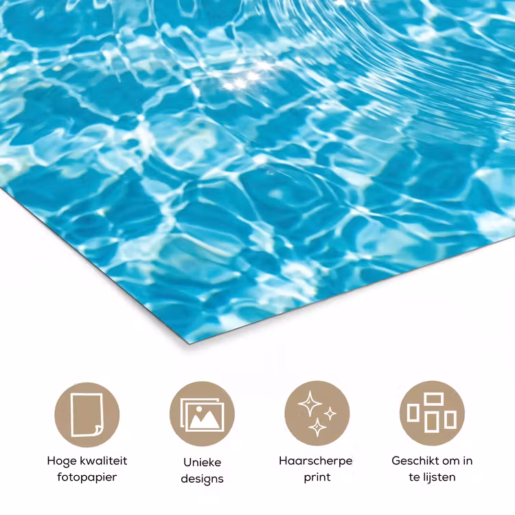 Poster - Badeend - Dobberen - Blauw — 5