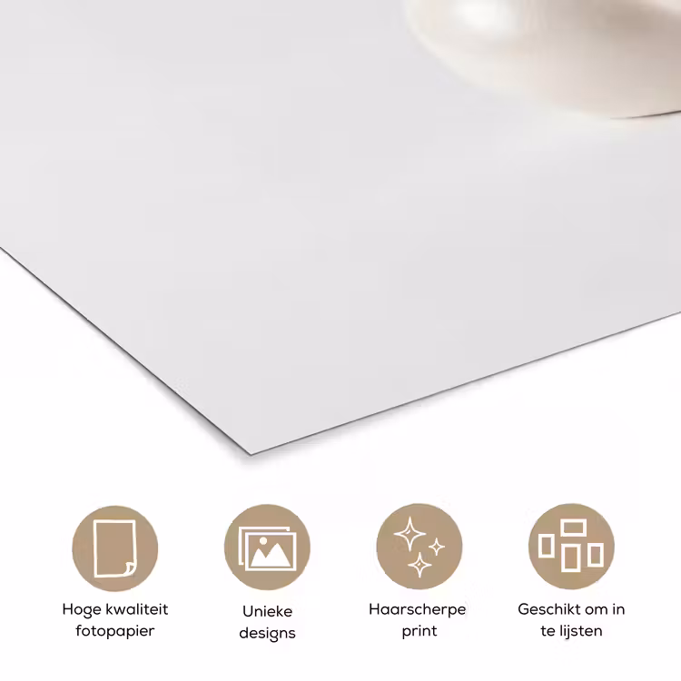 Poster - Badeend - Minimalistisch - Wit — 5