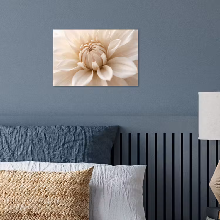 Poster - Bloem - Dahlia - Wit — 3