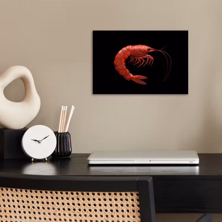 Poster - Garnaal - Rood - Dieren — 2