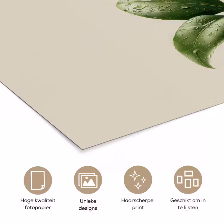 Poster - Cameliabloem - Wit - Groen — 5