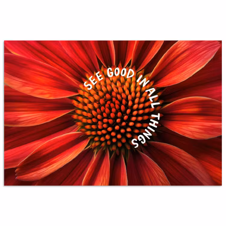 Poster - Close up - Bloem - Quote - Rood — 1