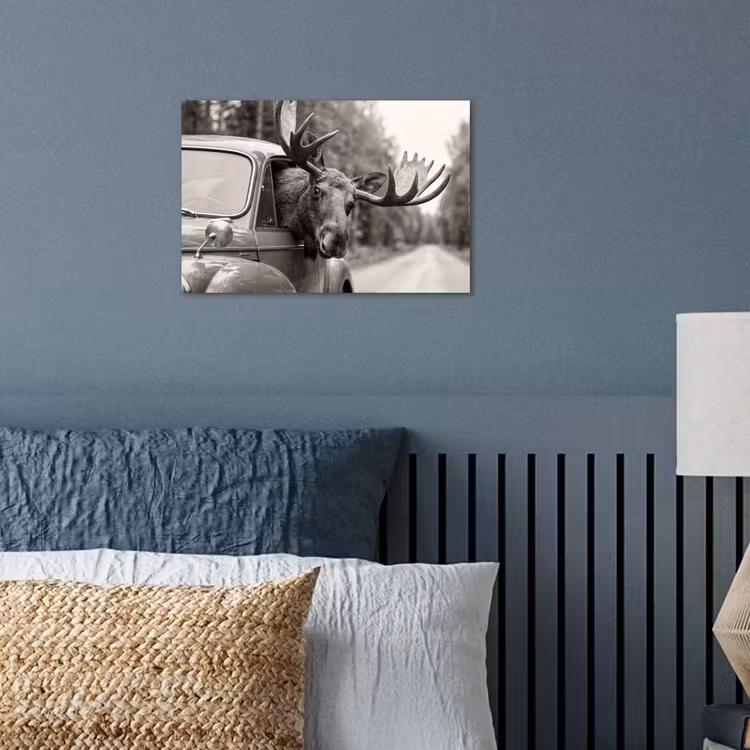 Poster - Eland - Auto - Gewei - Zwart - Wit — 3