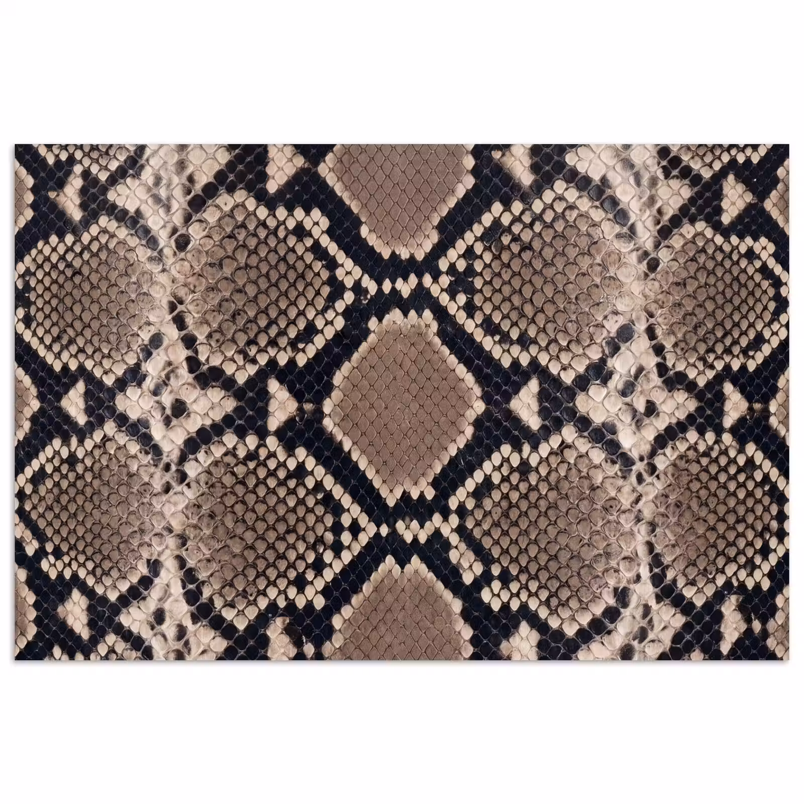 Poster - Slangenprint - Python - Bruin — 1
