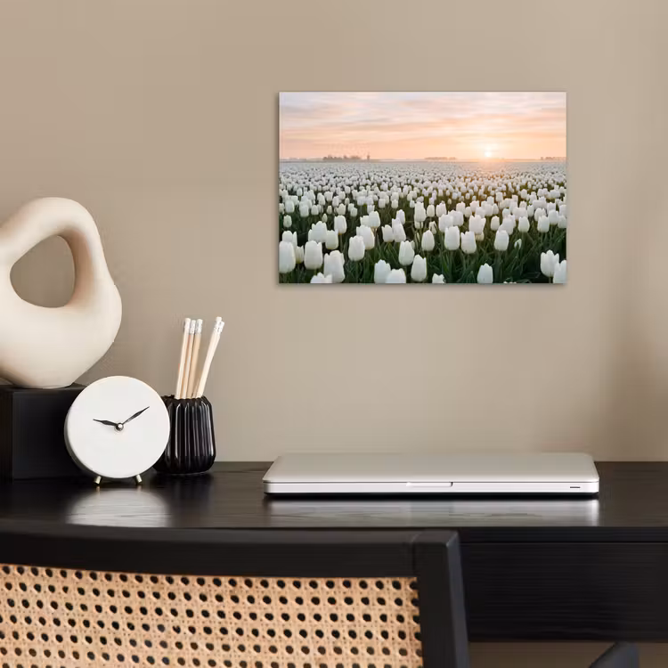 Poster - Tulpen - Landschap - Wit — 2