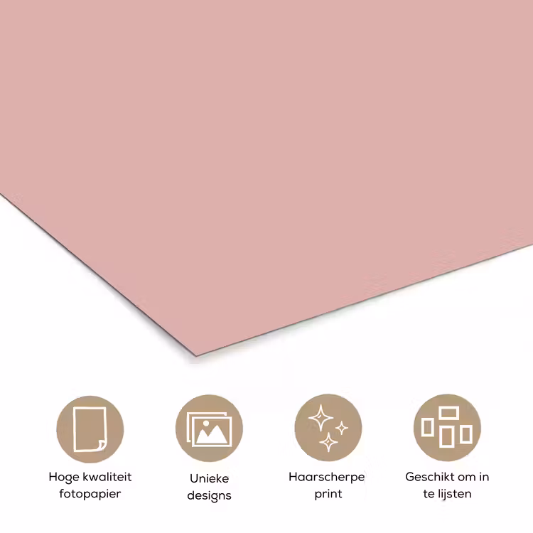 Poster - Soft - Blush - Roze — 5