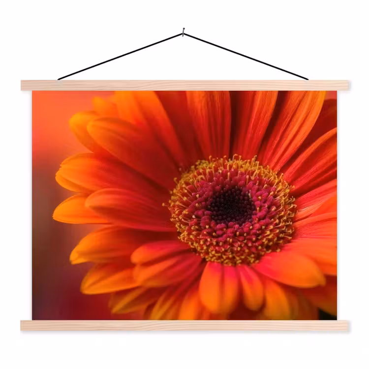 Schoolplaat - Oranje - Gerbera - Intens — 1