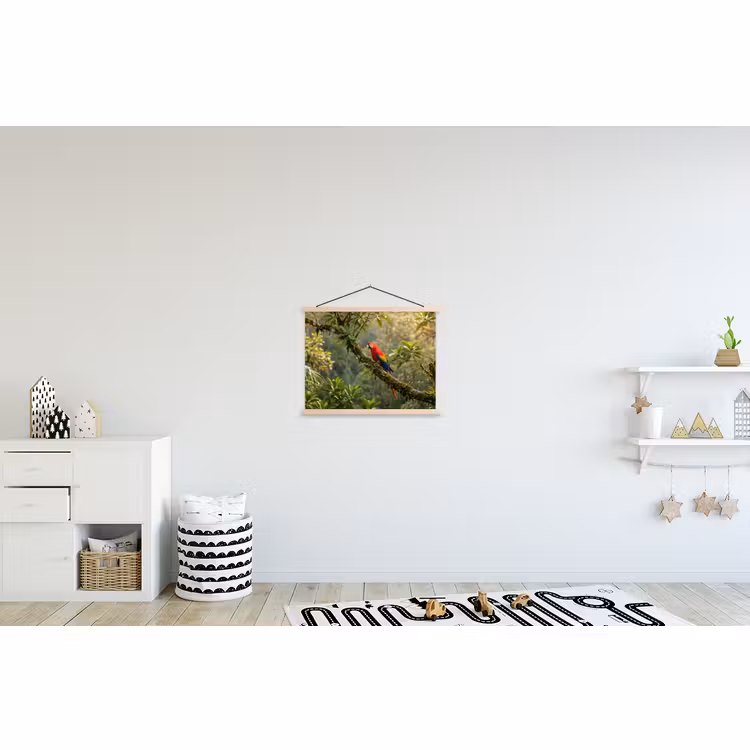Schoolplaat - Ara - Jungle - Rood — 3