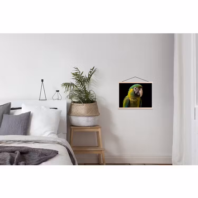 Schoolplaat - Ara - Portret - Groen — 2