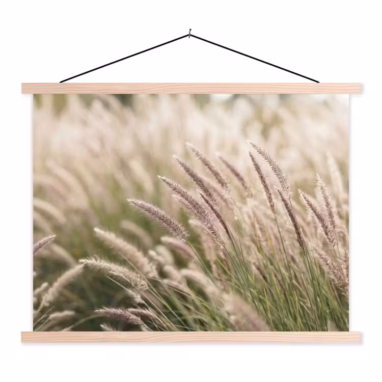 Schoolplaat - Gras - Close up - Groen — 1