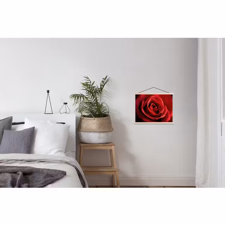 Schoolplaat - Rood - Roos - Romantisch — 2