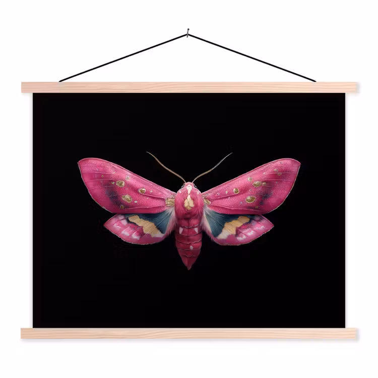 Schoolplaat - Vlinder - Roze - Nachtvlinder — 1