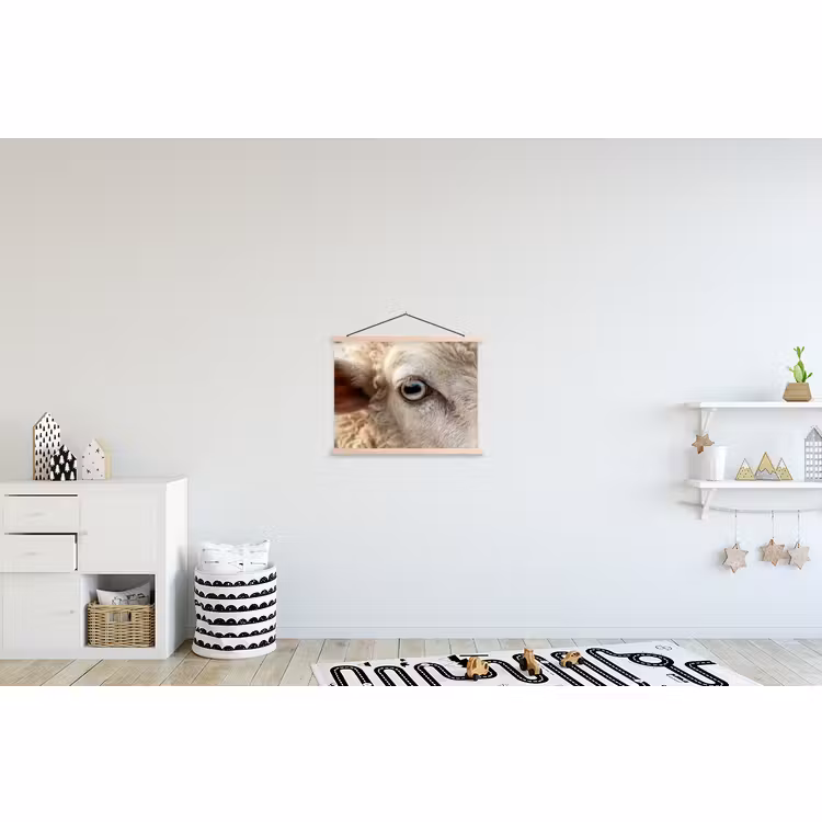 Schoolplaat - Schaap - Oog - Wit — 3
