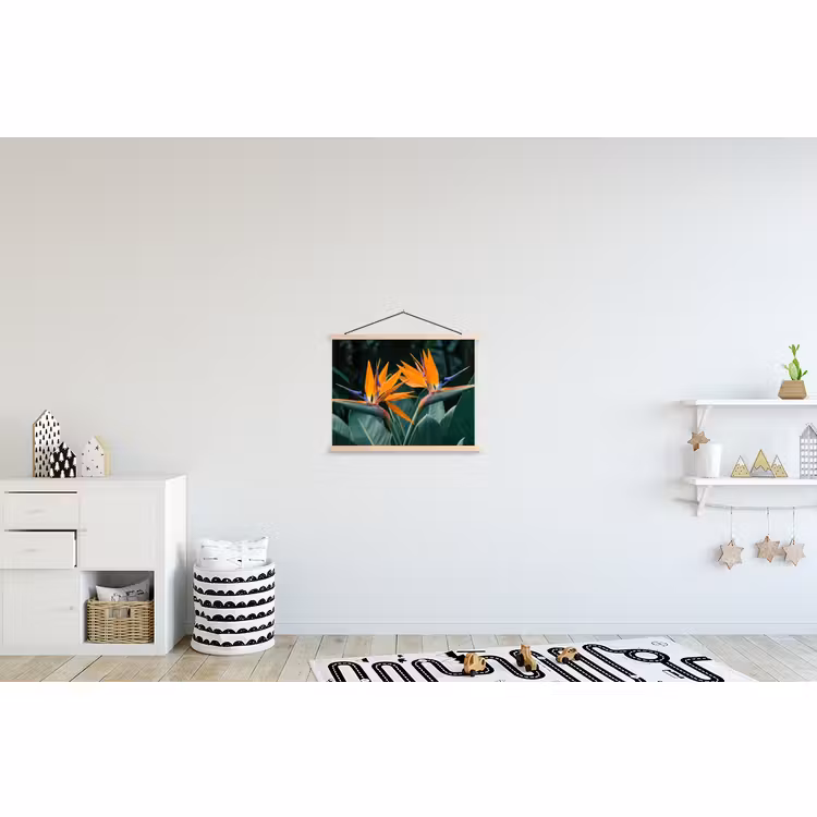 Schoolplaat - Paradijsvogel - Bloem - Exotisch — 3