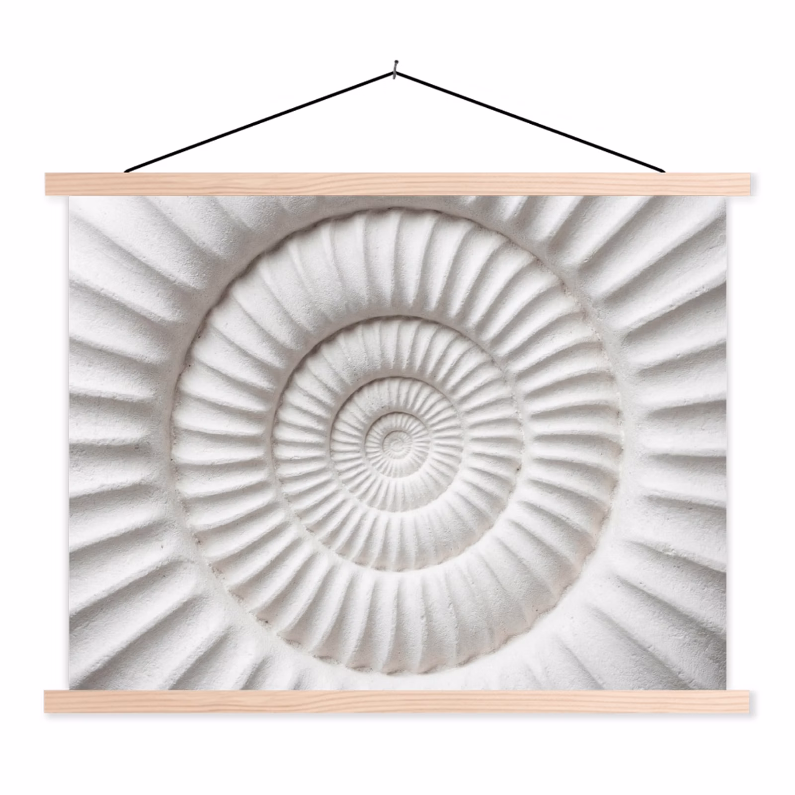 Schoolplaat - Schelp - Spiraal - Wit — 1