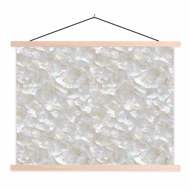 Schoolplaat - Parelmoerglans - Wit - Schelp — 1