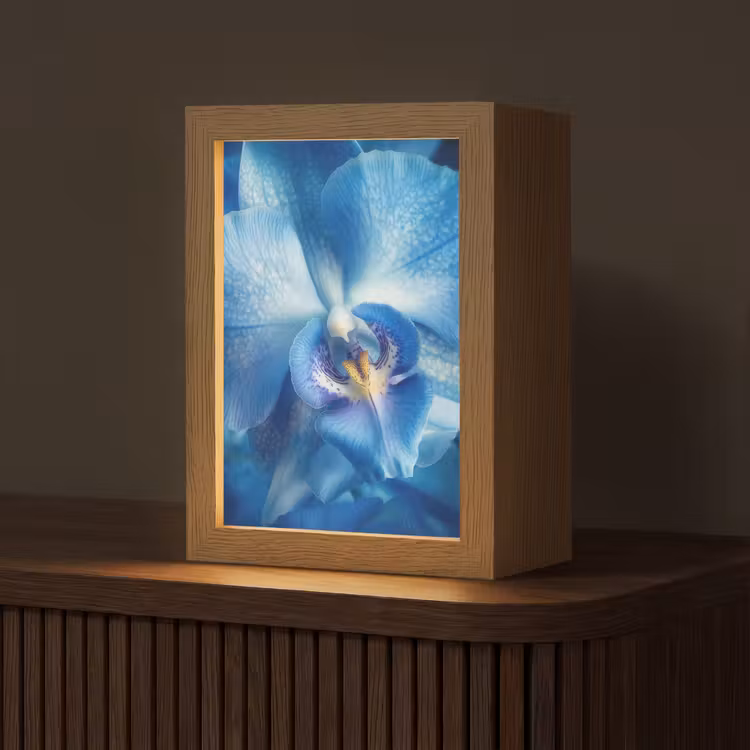 Tafellamp - Blauw - Orchidee - Elegeant — 1