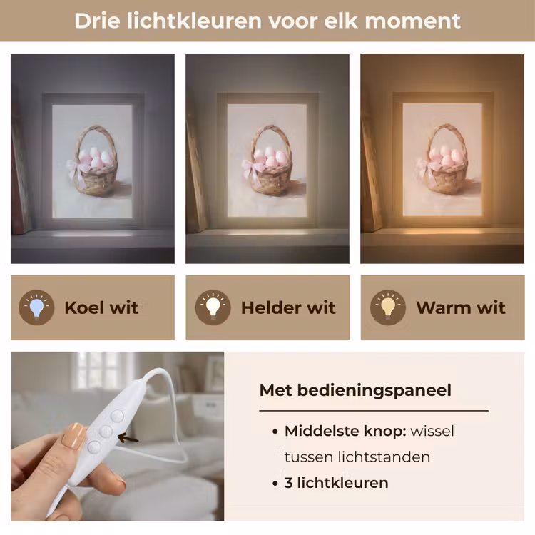 Tafellamp - Mand - Eieren - Roze — 6