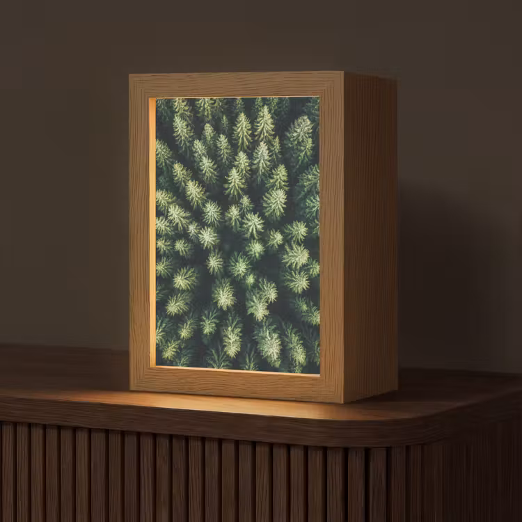 Tafellamp - Bomen - Naaldwoud - Structuur — 1