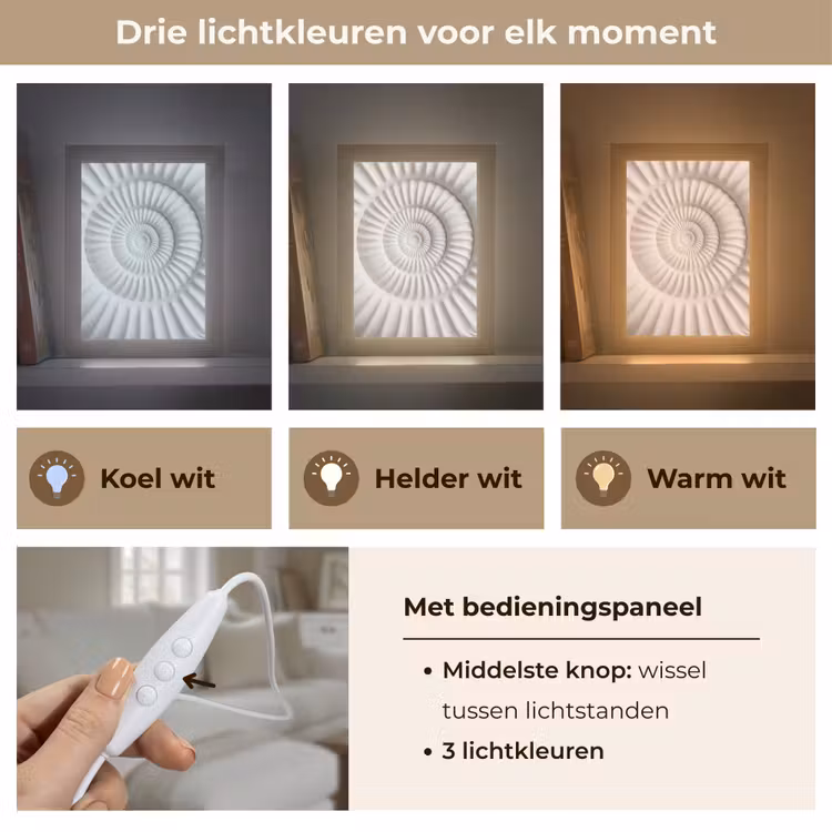 Tafellamp - Schelp - Spiraal - Wit — 6