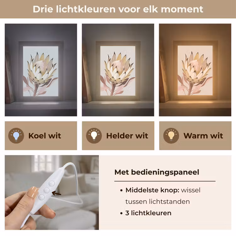 Tafellamp - Protea - Bloem - Botanisch - Beige — 6