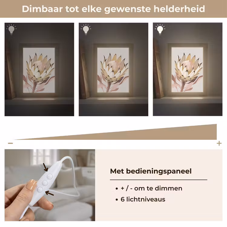 Tafellamp - Protea - Bloem - Botanisch - Beige — 8