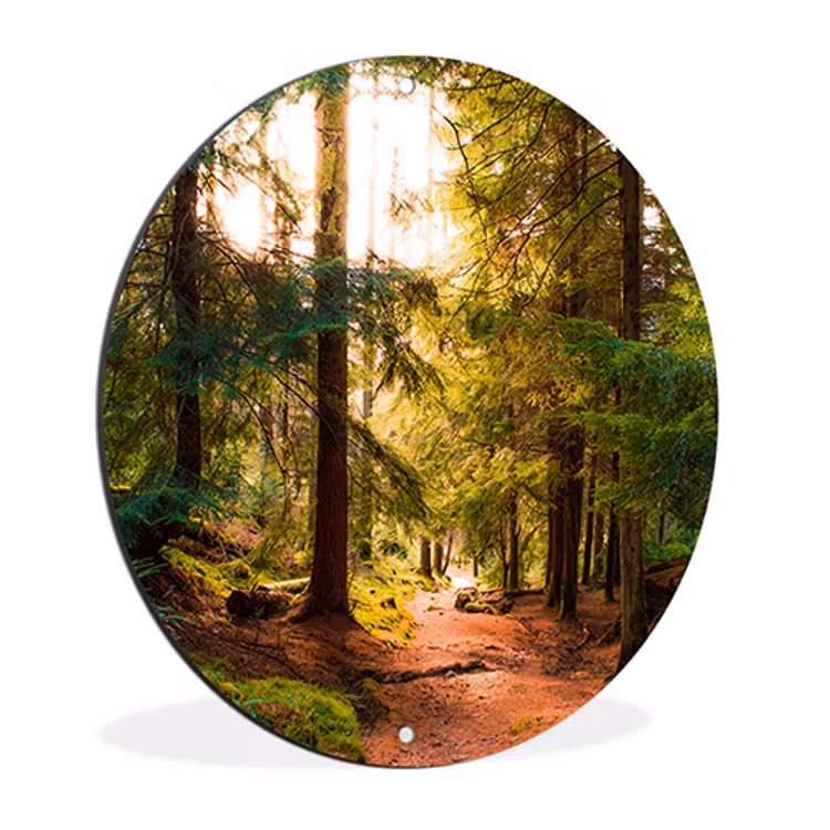 Wandcirkel tuin — 5