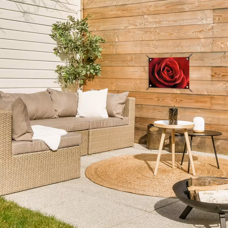 Tuinposter - Rood - Roos - Romantisch — 4