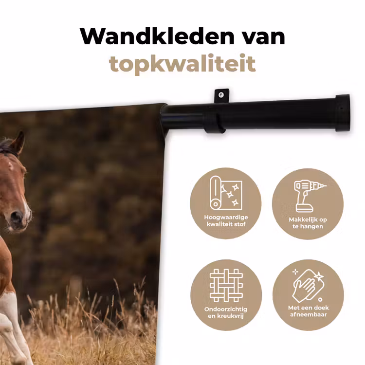 Wandkleed - Paard - Bruin - Gras — 3
