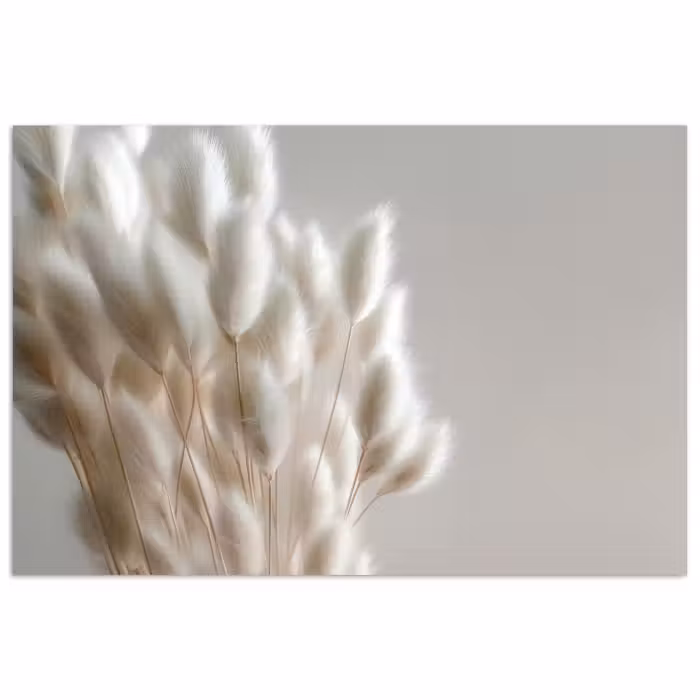 Poster - Pluimen - Beige - Minimalistisch